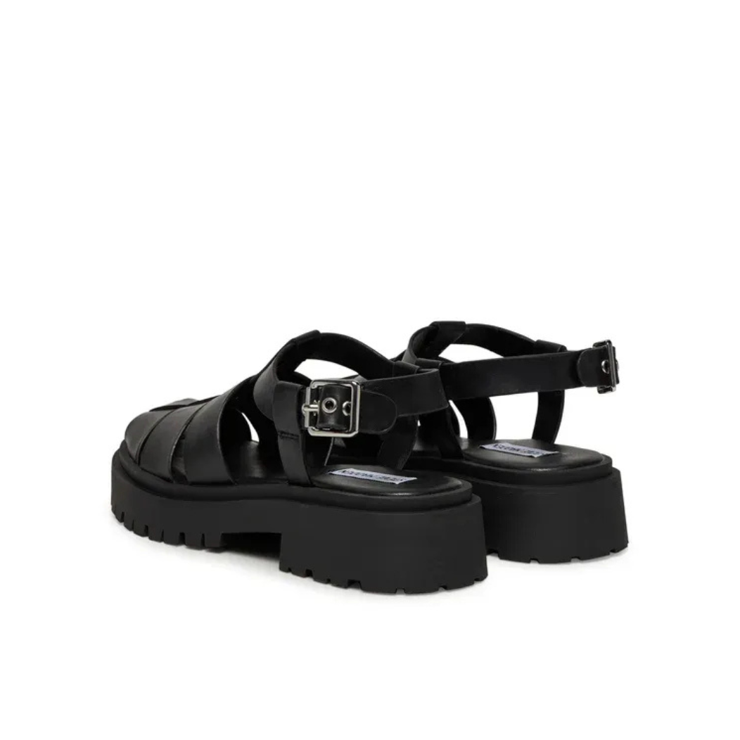 Steve Madden